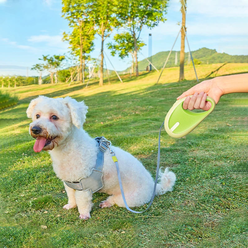 3m Retractable Nylon Leash for Small Dogs & Cats