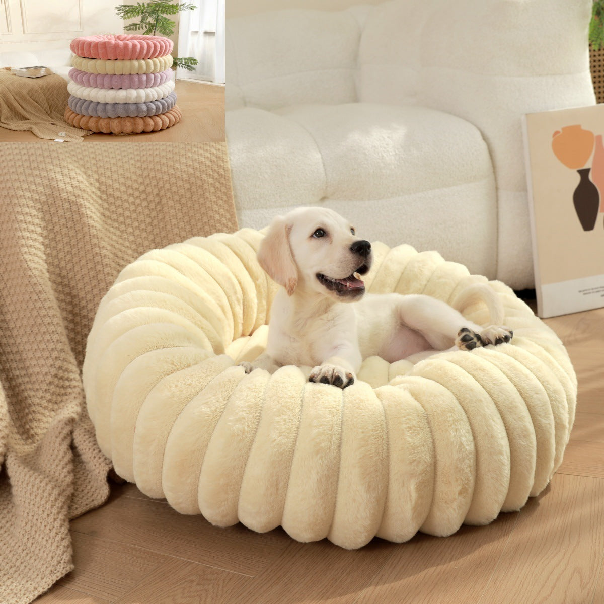 Beds & Furniture