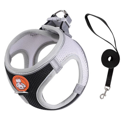 Reflective Harness Leash — Cats & Small Dogs
