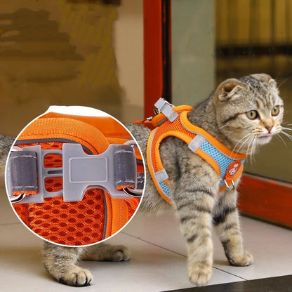 Reflective Harness Leash — Cats & Small Dogs