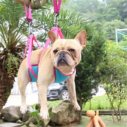 Cross-border pet cat and dog grooming hammock small and medium-sized dog grooming pet cleaning aids