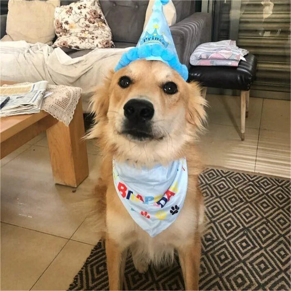 2Pcs/Set Dog Hat Bib Dog Birthday Bandana Scarf Adjustable Bandana Neckerchief Cat Dog Birthday Bib Hat Pet Supplies