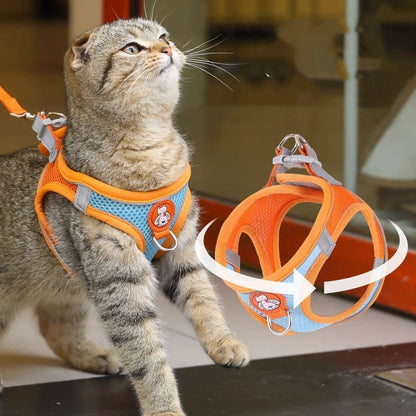 Reflective Harness Leash — Cats & Small Dogs