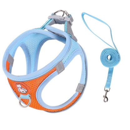 Reflective Harness Leash — Cats & Small Dogs