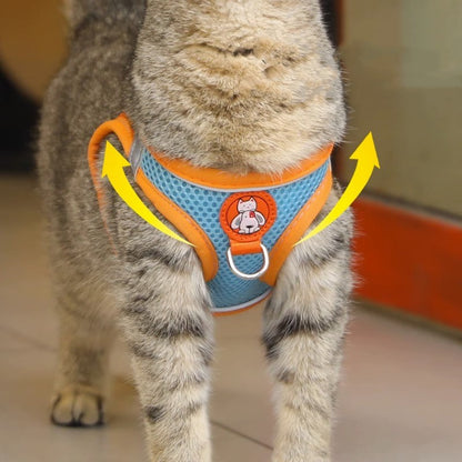 Reflective Harness Leash — Cats & Small Dogs