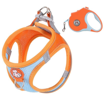 Reflective Harness Leash — Cats & Small Dogs