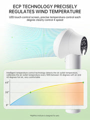 Smart Pet Hair Dryer Dog Golden Retriever Cat Grooming Hairdressing Blow & Comb Silent No Harm Pet Cleaning Supplies Pet Product